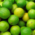 Limes
