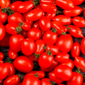 Roma Tomato