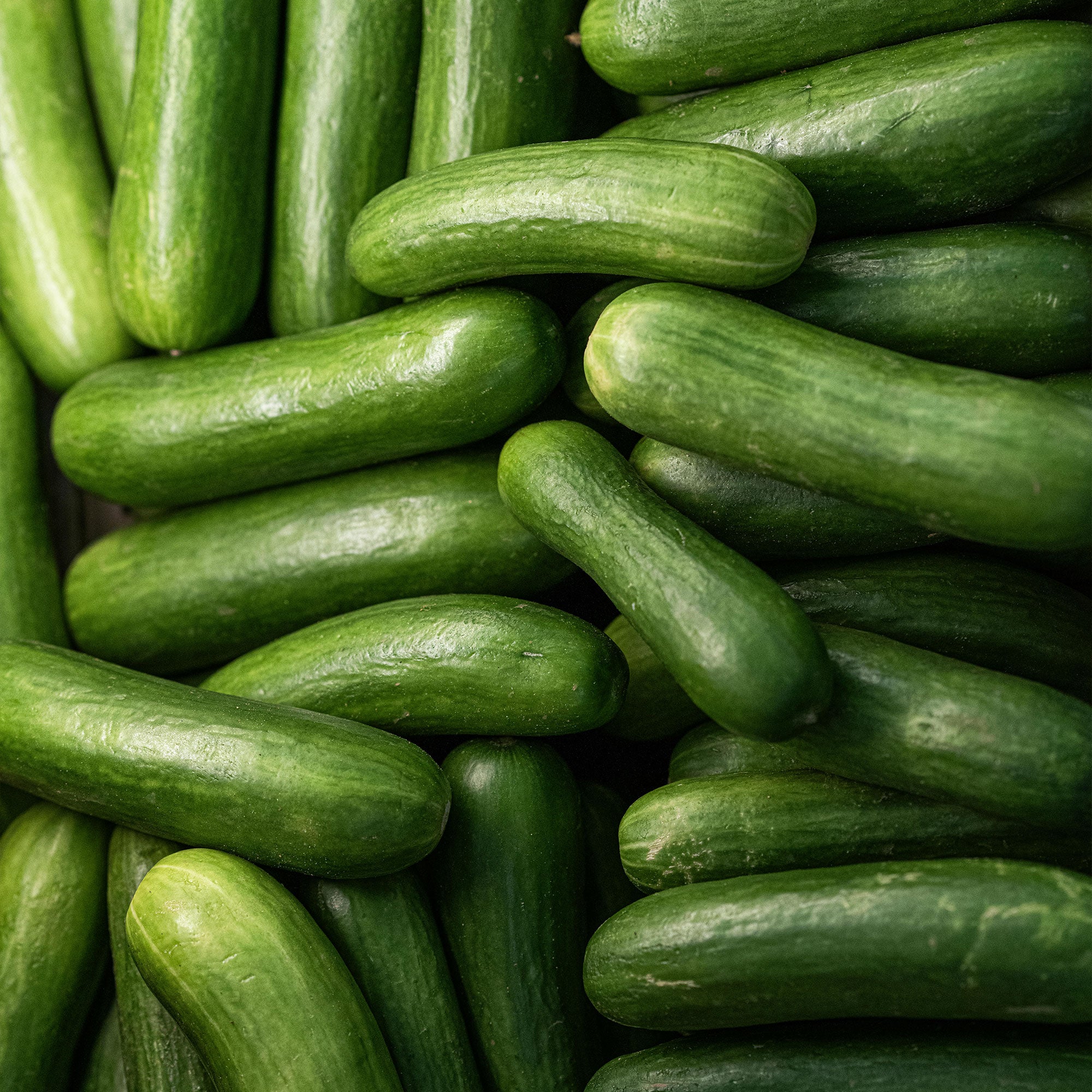 Cucumbers
