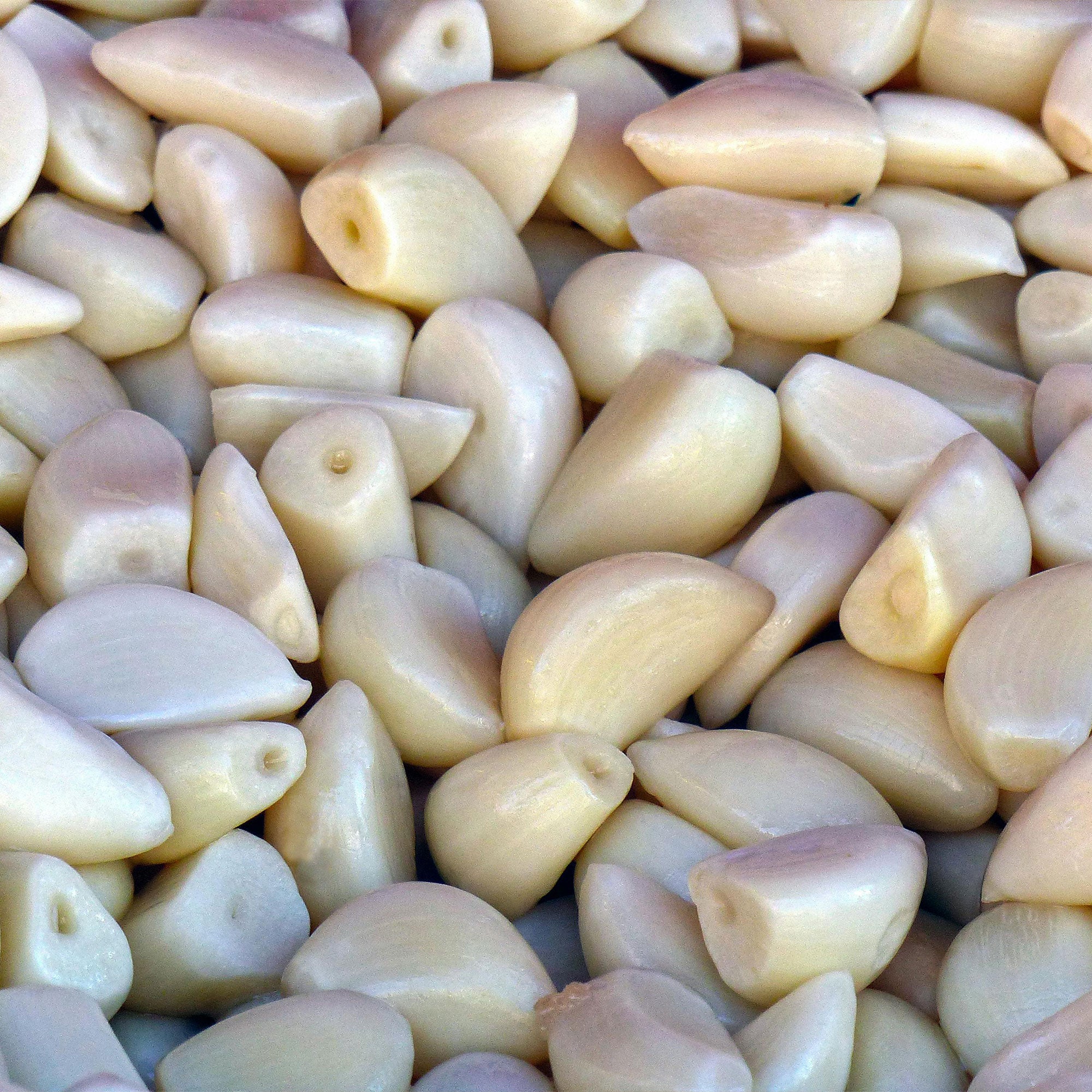 Garlic - Peeled