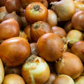 Yellow Onion