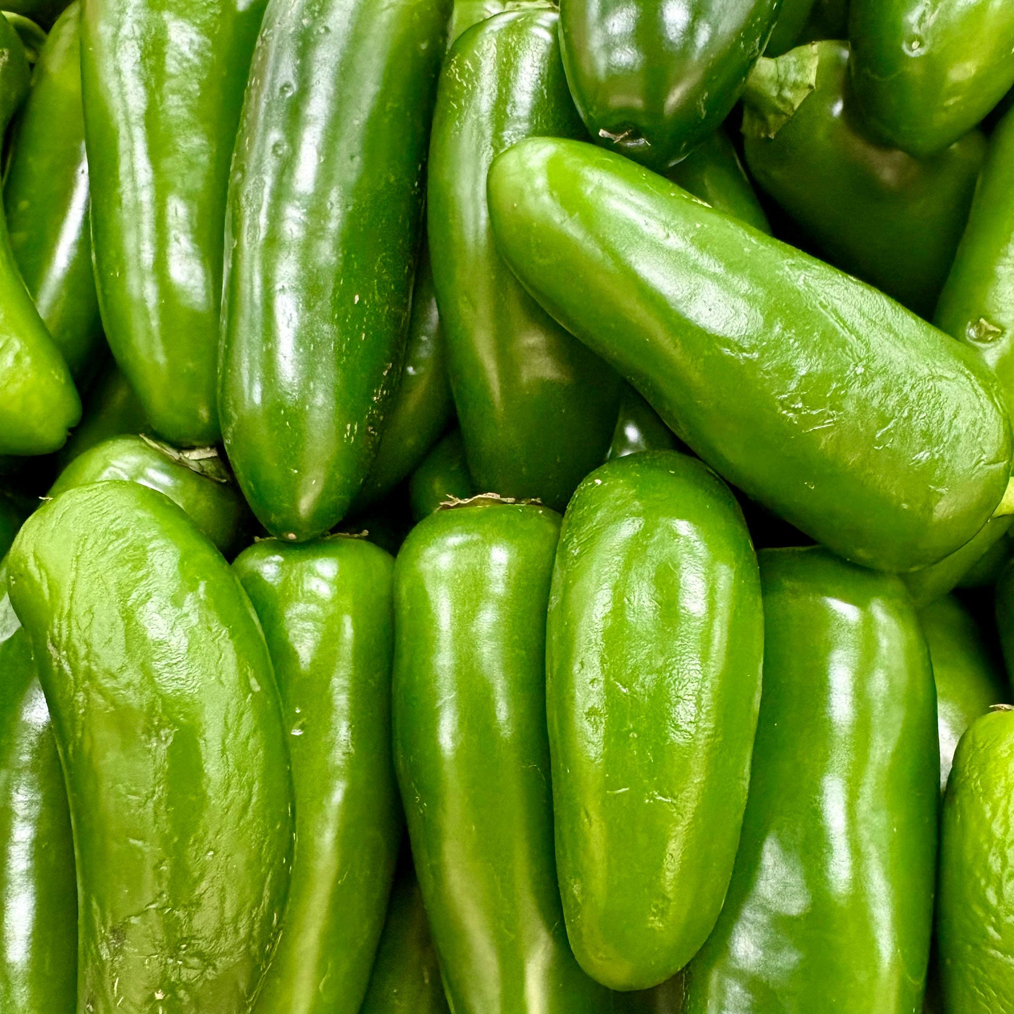 Jalapeno