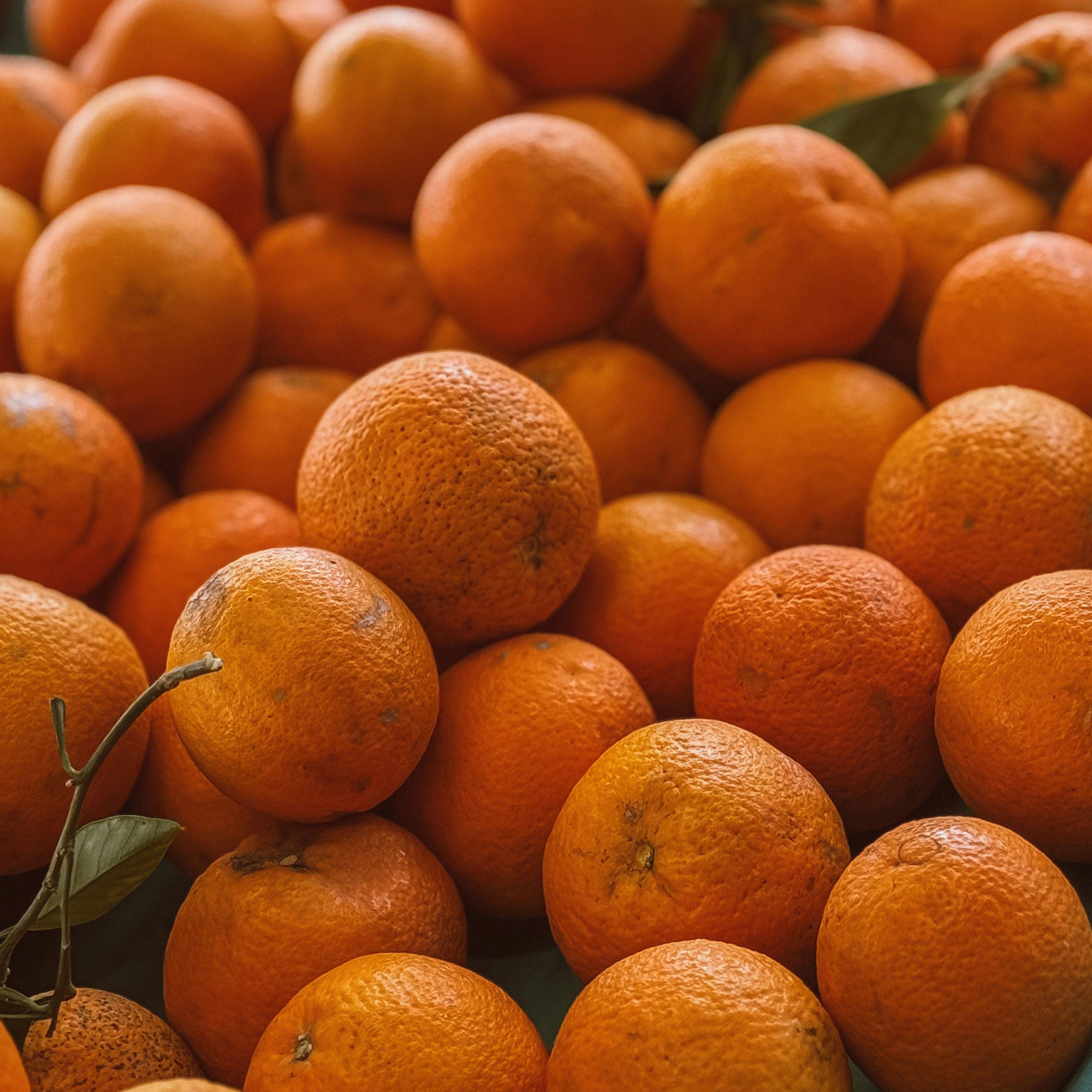 Oranges